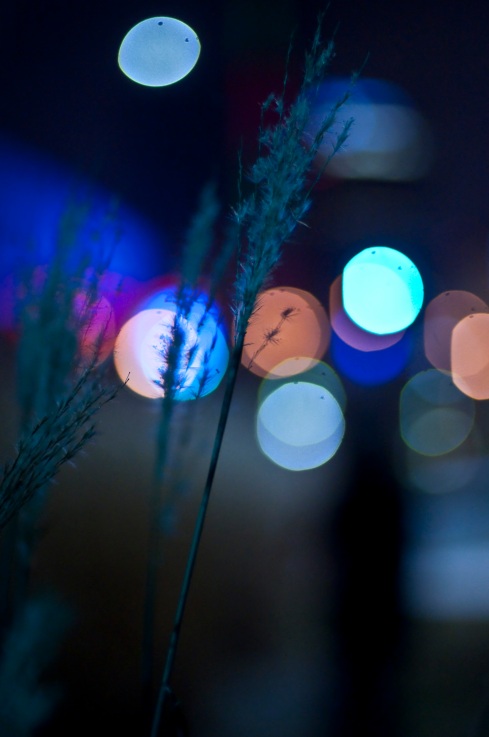 The Buttery Bokeh of 1.4